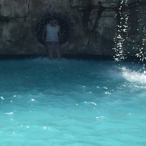 Meet your Posher, Dexis